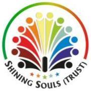 Shining Souls Trust Best N