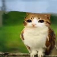 UnknownUser335