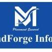 mindforgeinfotech