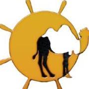 Camel Ride Marrakech