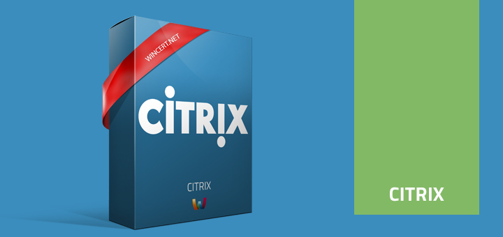Citrix Box,xenapp,citrix,server,ica,symantec,libraries,license,installer,publish,console,client,publisher,wfshell