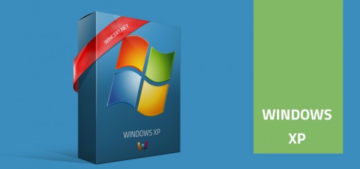 windows-xp2 box,access,computer,blue screen,ctrl alt delete, logoff,network folders,ntloader,logon