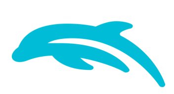 Play Wii Games On Dolphin Play Wii Games On Dolphin