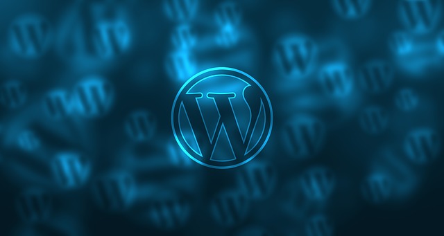 WordPress plug-in